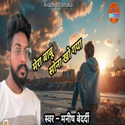 MERA BABU SONA KHO GAYA