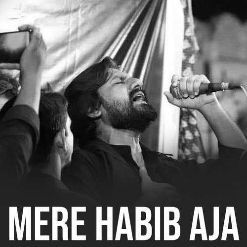 Mere Habib Aja