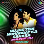 Mujhe Teri Mohabbat Ka Sahara - Analogue Mix