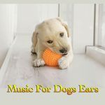 Music for Dogs and Pets artwork