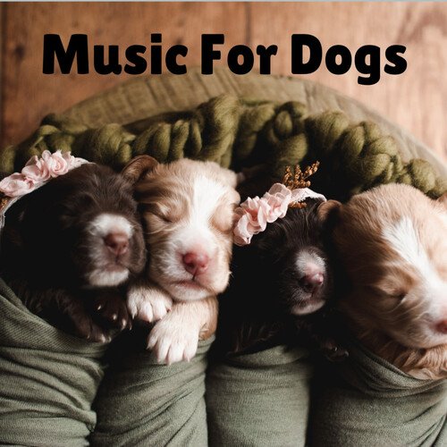 Music For Dogs Peace cover art