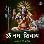 Om Namah Shivay