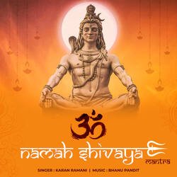 Om Namah Shivay Mantra-IgQzUyJkfkk