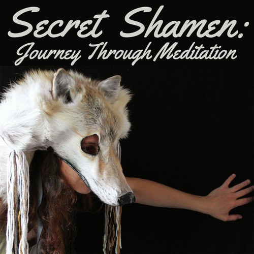 Secret Shamen: Journey Through Meditation