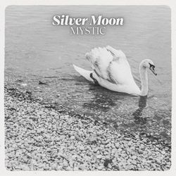 Silver Moon