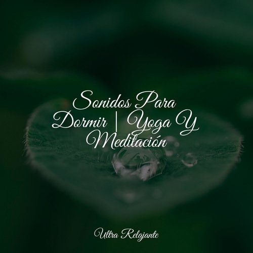 Cascada De La Música cover art