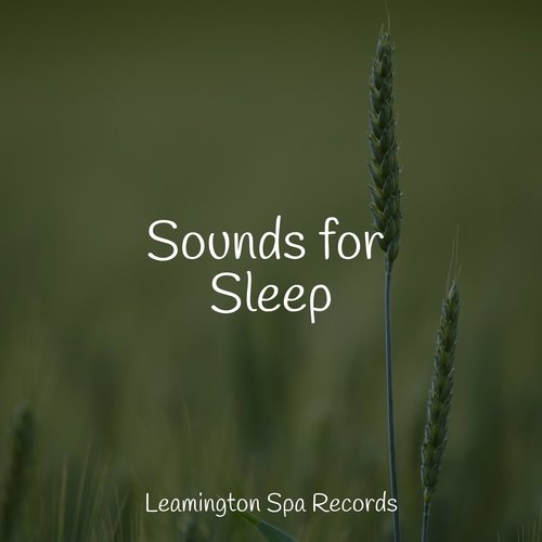 Sounds for Sleep