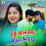 TUKU BHALOBASAR ABHASH DIYA JA