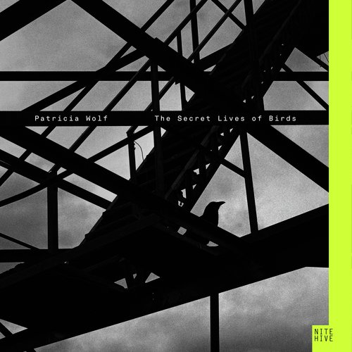 The Secret Lives of Birds cover art