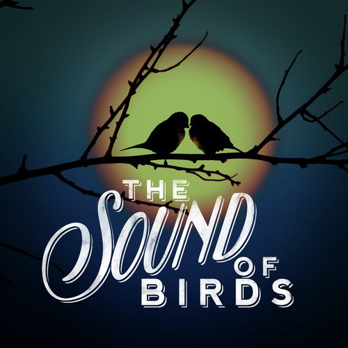 The Sound of Birds_poster_image