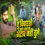 Tu Vicharshi Yale Tyale Mi Bhetav Nahi Tule