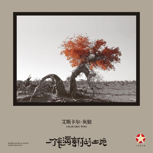 Where Musical Notes Grow Like Peas