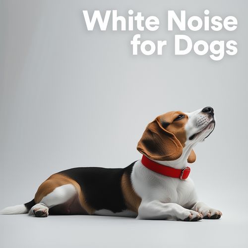 White Noise for Dogs