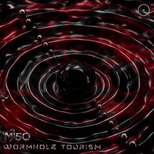 Wormhole Tourism