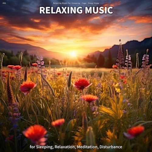 #01 Relaxing Music for Sleeping, Relaxation, Meditation, Disturbance