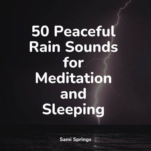 Rain, Storm and Thunder cover art