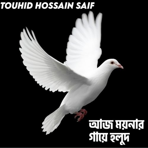 Aj Moynar Gayee Holud