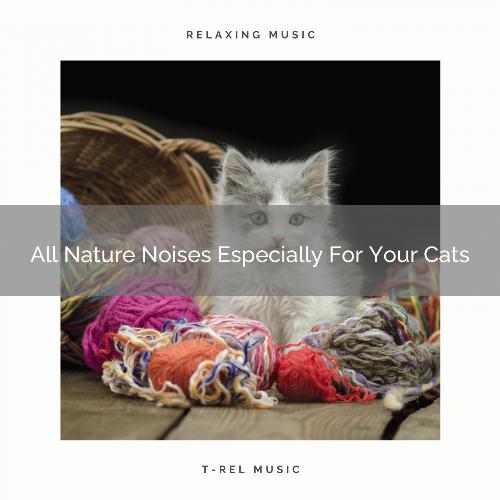Complex Nature Songs For Beloved Cats cover art