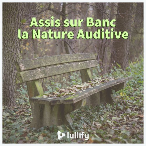 Il pleuvait cover art