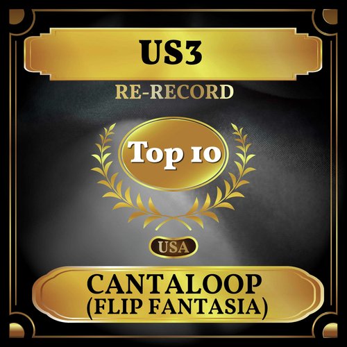 Cantaloop (Flip Fantasia) (Billboard Hot 100 - No 9)_poster_image