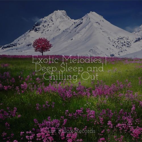 Exotic Melodies | Deep Sleep and Chilling Out