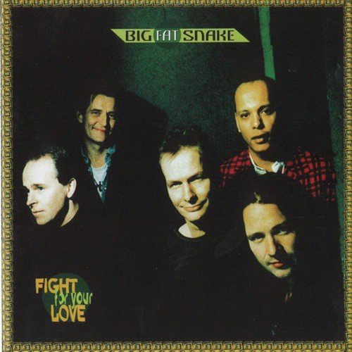 Fight For Your Love_poster_image