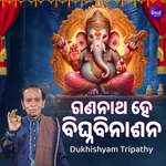Gananatha Hey Bighnabinasana