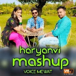 Haryanvi mashup-GAEnBw52RQA