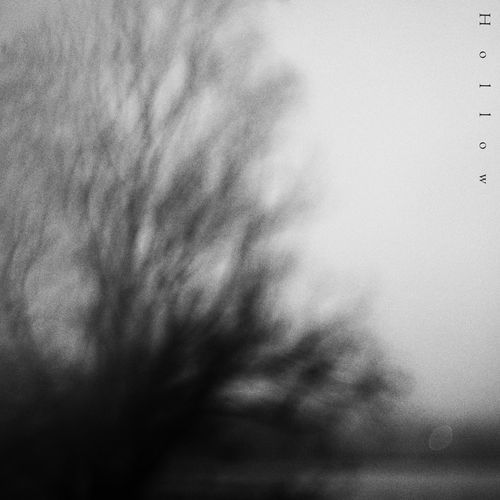 Hollow cover art