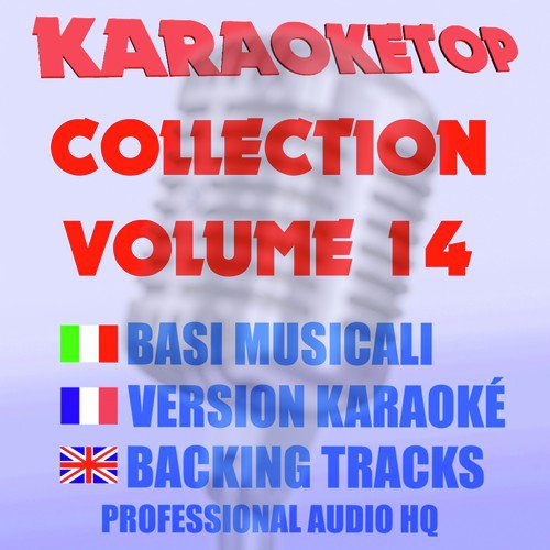 We Don't Need Another Hero (Originally Performed by Tina Turner) (Karaoke Version) cover art