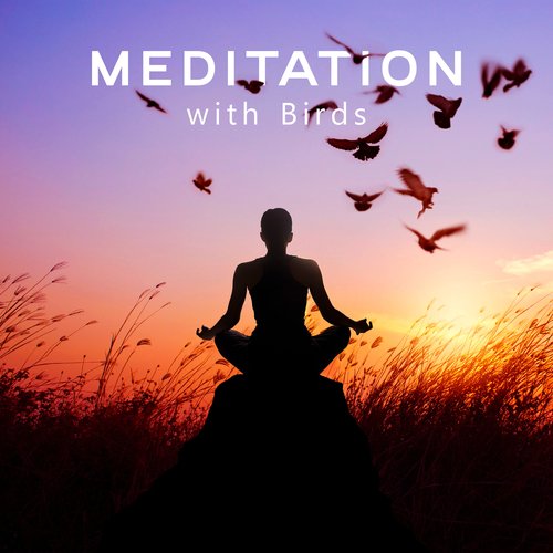 Meditation with Birds