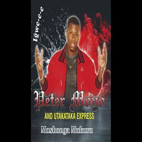 Konzi cover art