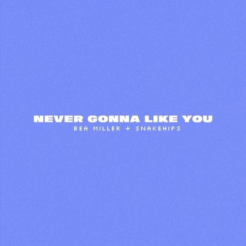 NEVER GONNA LIKE YOU (Clean Version)