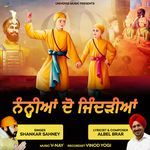 Nanhiyan Do Jindriyan