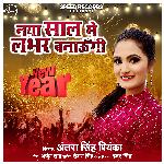 Naya Saal Me Labhar Bnaungi - Single