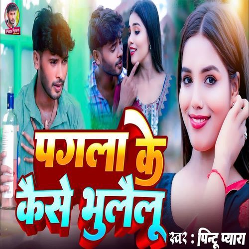 Pagla Ke Kaise Bhulailu