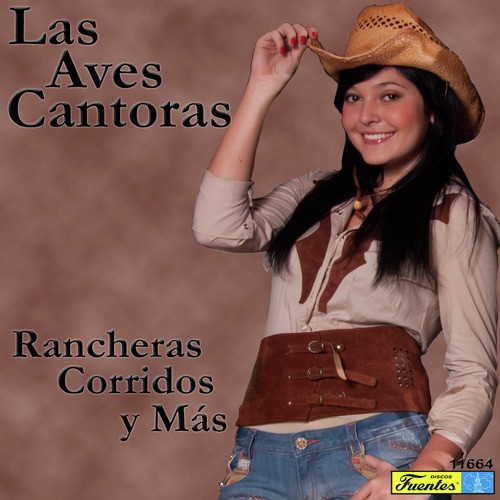 Rancheras, Corridos y Más_poster_image