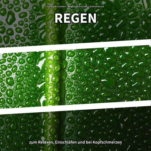 Regengeräusche cover art