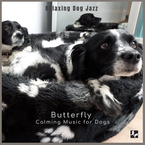 Dog Background Music cover art