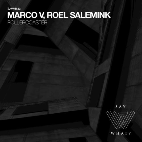 Recovered (Roel Salemink Remix) cover art