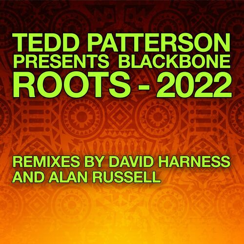 Roots - 2022 Remixes_poster_image