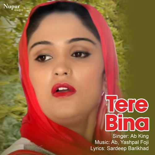 Tere Bina