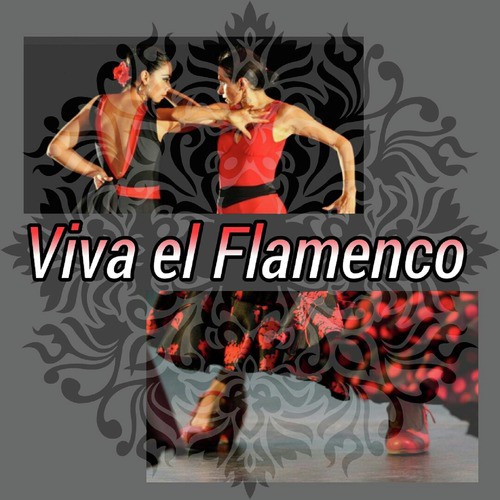 Viva el Flamenco!