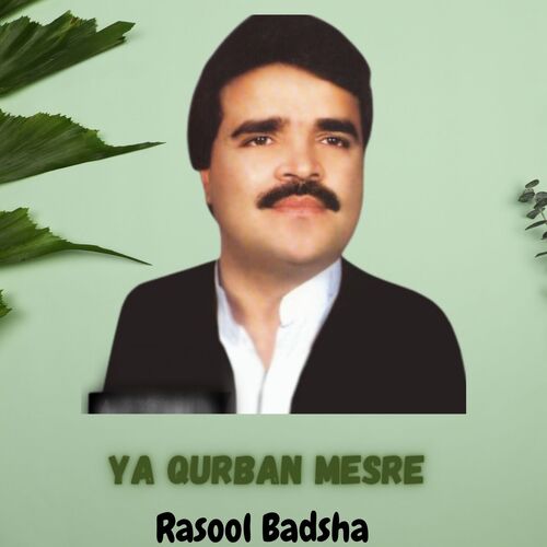 Ya Qurban Mesre_poster_image