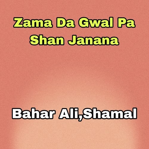 Zama Da Gwal Pa Shan Janana_poster_image