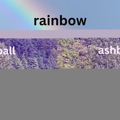 rainbow