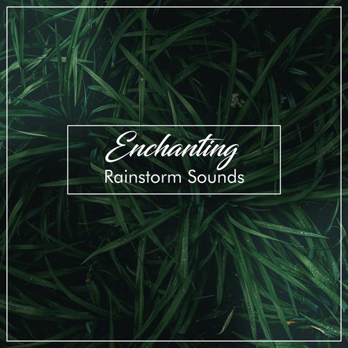 #17 Enchanting Rainstorm Sounds_poster_image