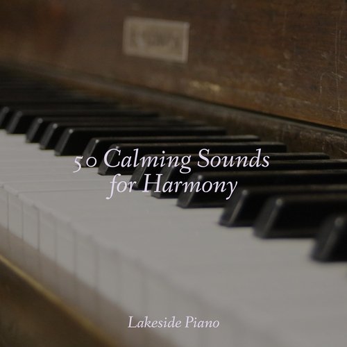 50 Calming Sounds for Harmony