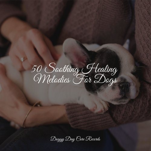 50 Soothing Healing Melodies For Dogs