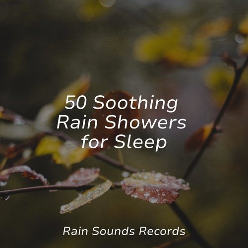 Calm Stream cover art